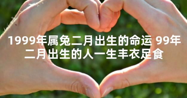 1999年属兔二月出生的命运 99年二月出生的人一生丰衣